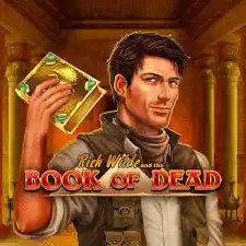 Official Slots logo: Book of Dead by Play'n GO at Mr Punter Casino